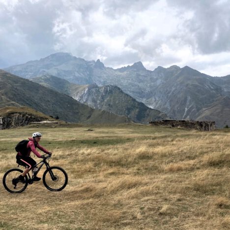 Ligurisches Olivenöl